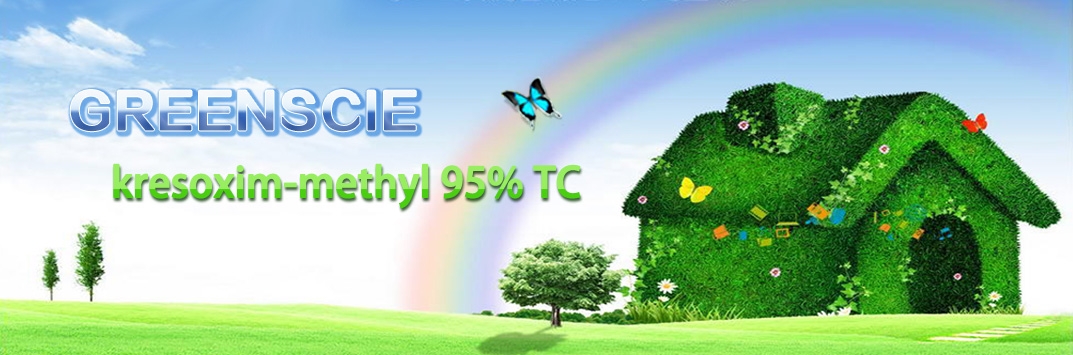 Jiangsu Greenscie Chemical Co., Ltd - agricultural fungicide, fungicide for plants, Fungicide Difenoconazole 95% TC, Fungicide Azoxystrobin 98% TC - About US